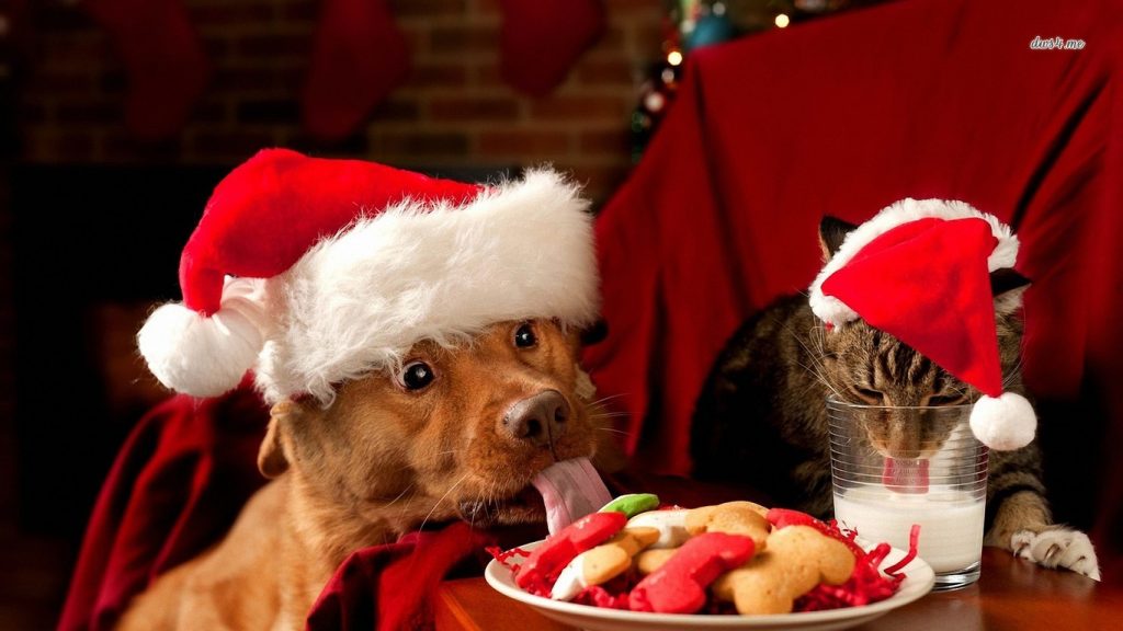 Winter Holiday Pet Safety Tips