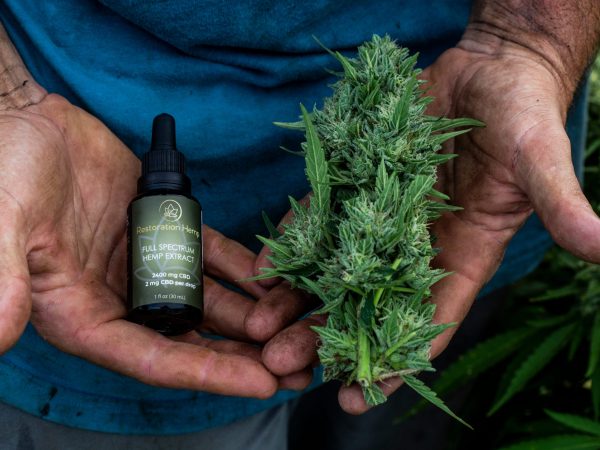 The Power of Hemp: Maximizing Your Well-Being Through Hemp Products